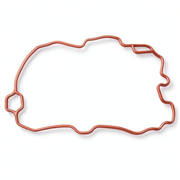DongJinK MS95816 Intake Manifold Gasket for Chevy S10 4.3L 1996-2007-5