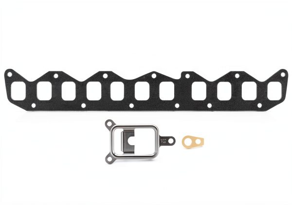 Victor Reinz Intake and Exhaust Manifolds Combination Gasket Model-0